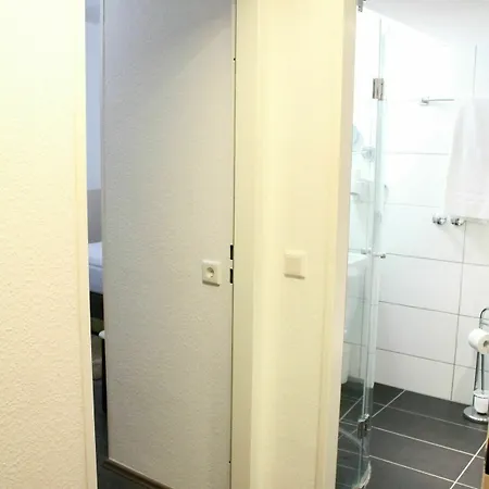 Rheinmetropole מלון 3*