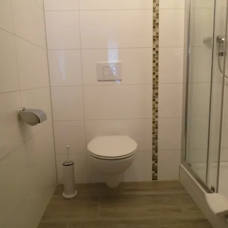 Rheinmetropole דיסלדורף