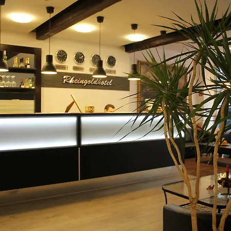Rheinmetropole Hotel 3*