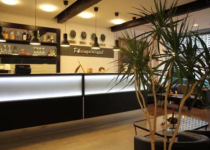 酒店 Rheinmetropole